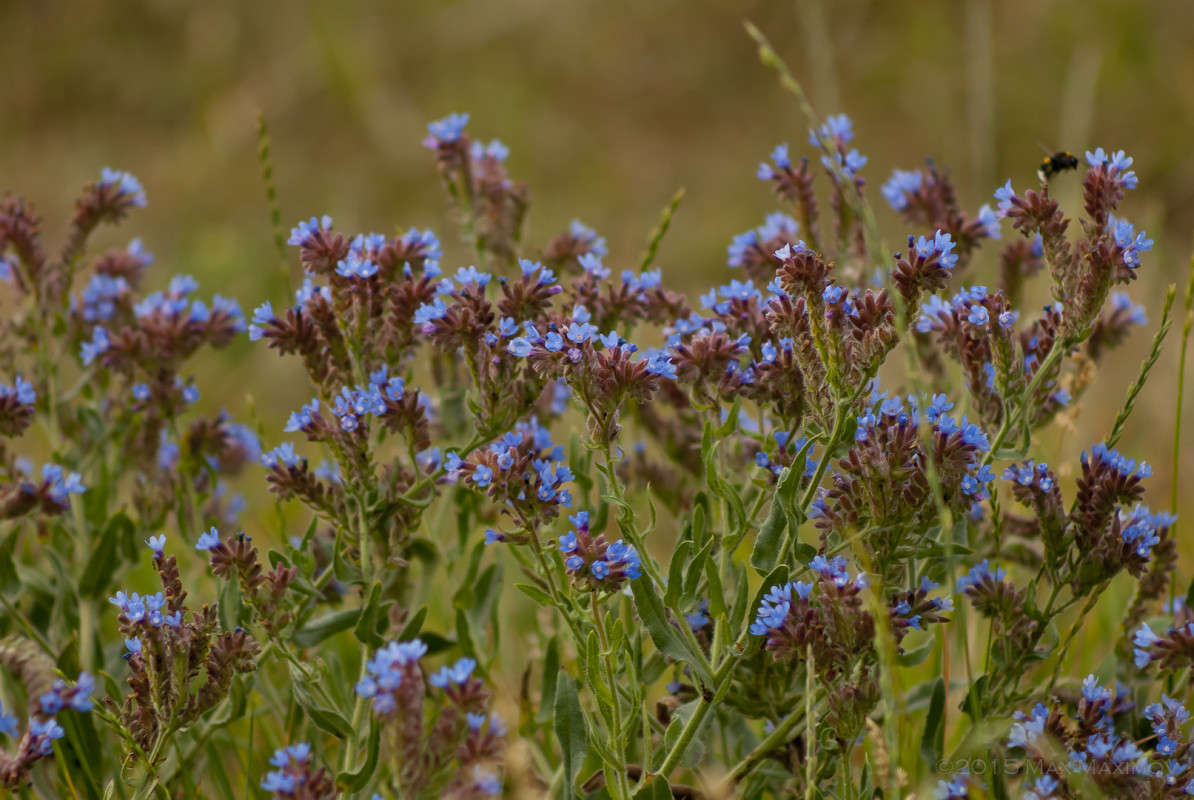 ��������� ���������� 02 ����� ����  �� PhotoGeek.ru #������ ��� ������� #����� �������������� #���������