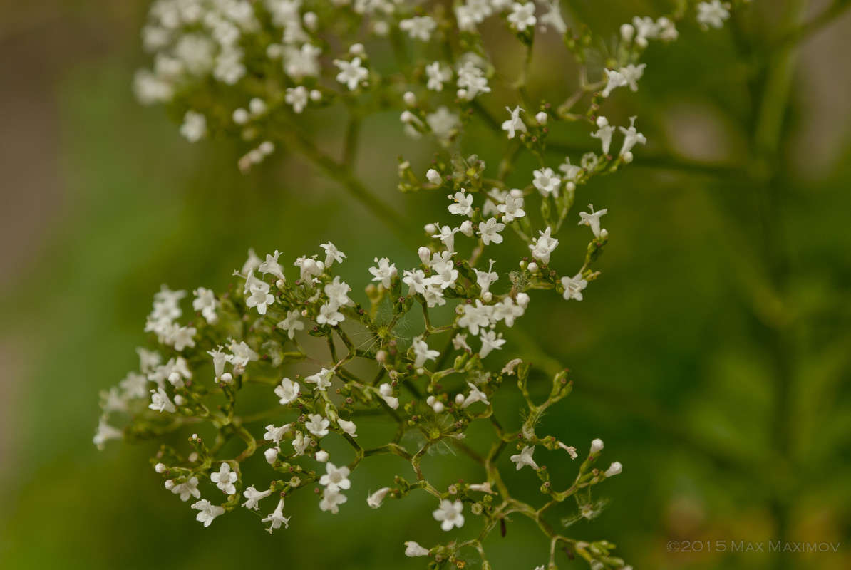 ��������� ���������� 01 ����� ����  �� PhotoGeek.ru #����� #������ ��� ������� #����� ��������������