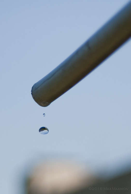 Vivitar 35-70/2,8-3,8 test 01 ����� ����  �� PhotoGeek.ru #�����