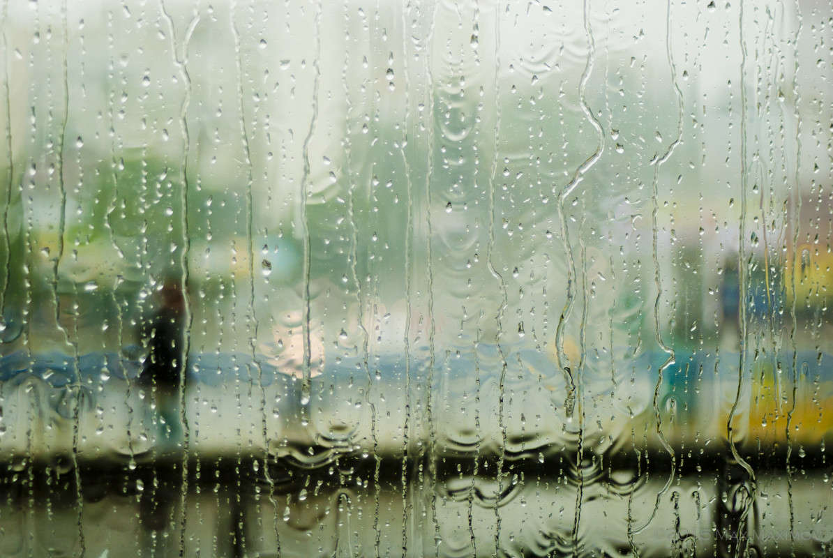 � ������ �����... (04) ����� ����  �� PhotoGeek.ru #����� #�������� ���������� #��������� ������