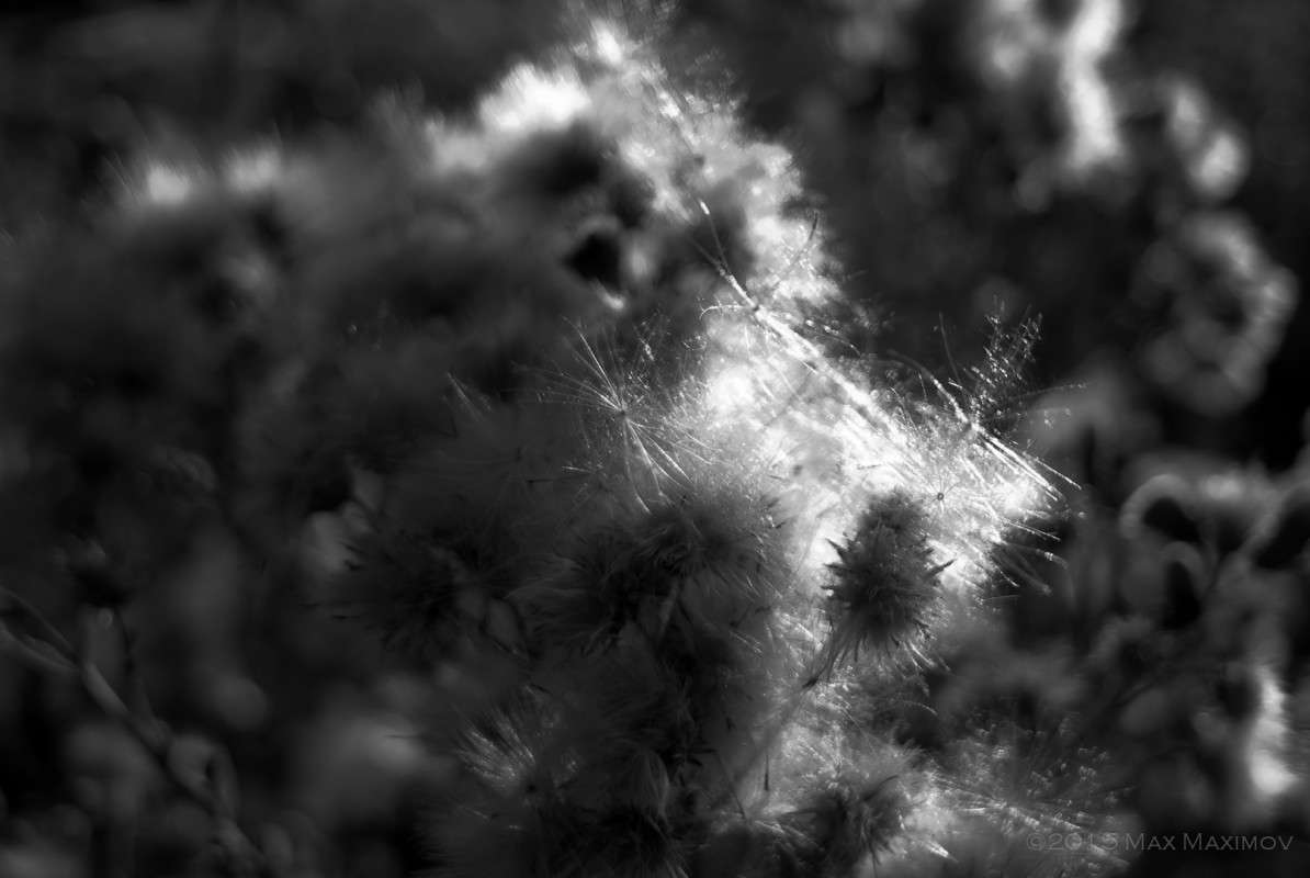 Golden hour �� ������� 01 ����� ����  �� PhotoGeek.ru #������ ��� ������� #�������� ���������� #����� �������������� #�����-�����