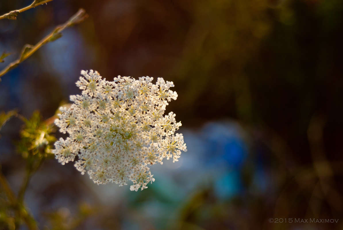 ����������� 02 ����� ����  �� PhotoGeek.ru #������ ��� ������� #����� �������������� #����� ��������