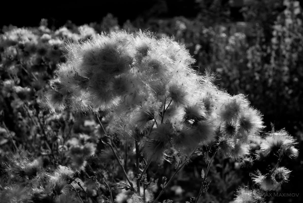 Golden hour �� ������� 02 ����� ����  �� PhotoGeek.ru #������ ��� ������� #�������� ���������� #����� �������������� #����� �������� #�����-�����