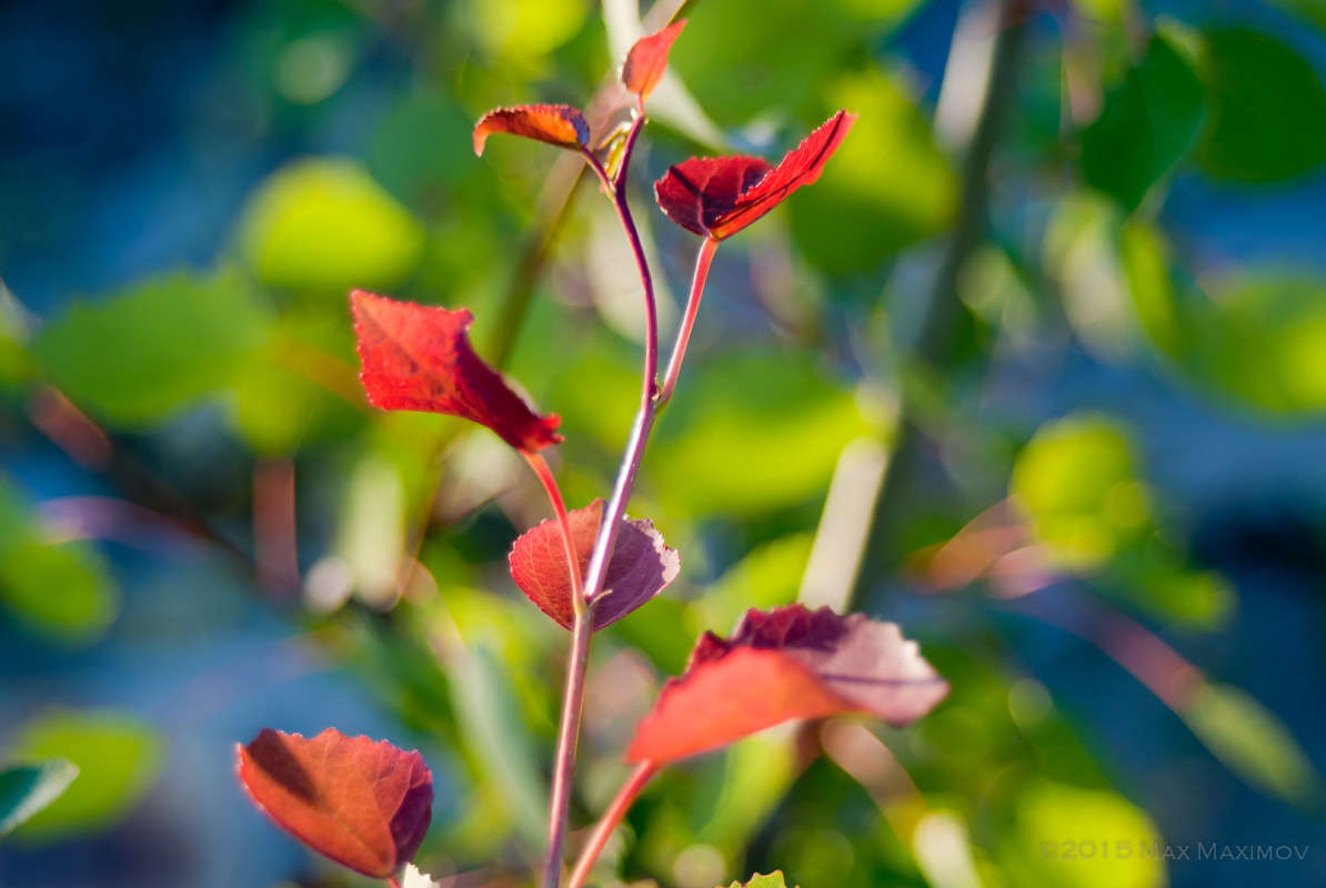 ����������� ����� ����  �� PhotoGeek.ru #������ ��� ������� #����� �������������� #����� ��������