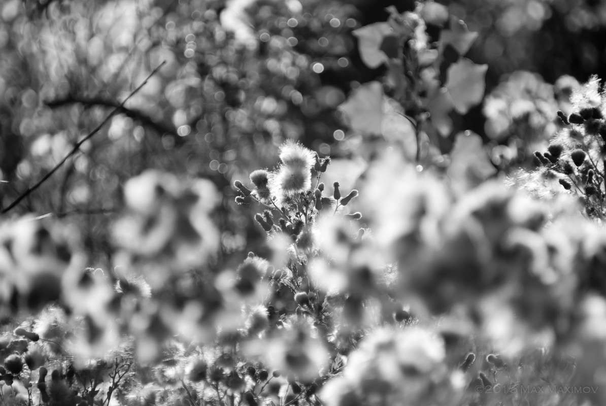 Golden Hour �� ������� 03 ����� ����  �� PhotoGeek.ru #������ ��� ������� #�������� ���������� #����� �������������� #����� �������� #�����-�����