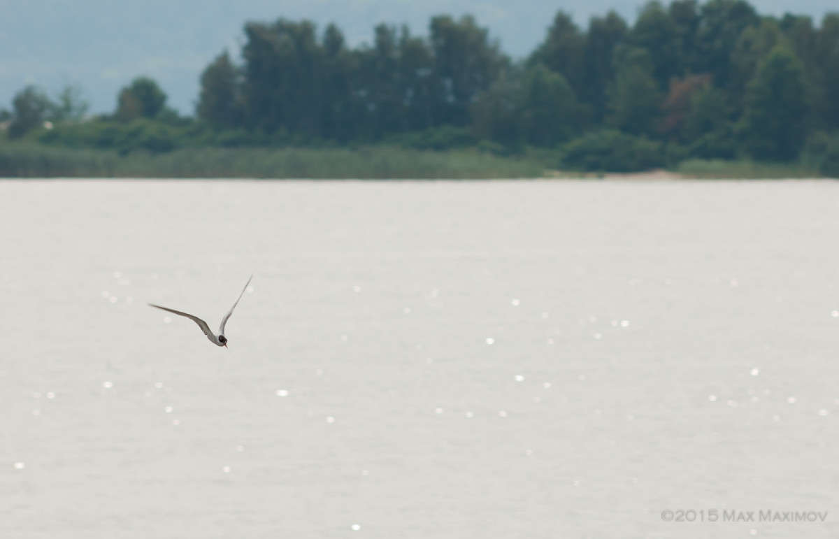 ����� ����� ����  �� PhotoGeek.ru #�������� ��� #������ ��� ������� #����� ��� ��� ��������� #��������� #����� ��������