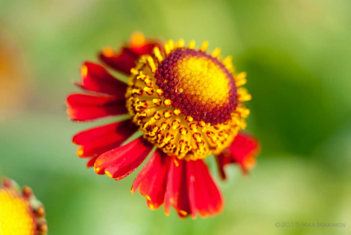 ��������� ���� ����� ����  �� PhotoGeek.ru #������ ��� ������� #����� ��������������