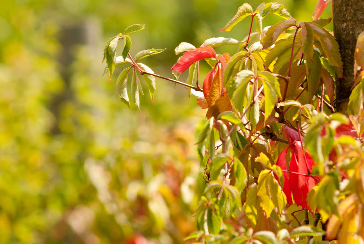 ����� �������� ����� ����  �� PhotoGeek.ru #������ ��� ������� #����� �������������� #����� ��������