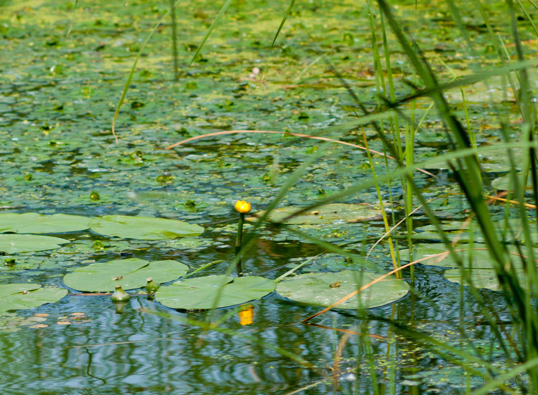 �������� ����� ����  �� PhotoGeek.ru #������ ��� ������� #����� �������������� #����� ��������