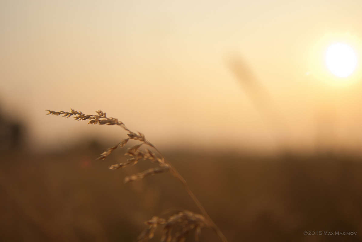 Test MC Vivitar 28-85/2.8-3.8 (02) ����� ����  �� PhotoGeek.ru #������ ��� ������� #����� �������������� #����� ��������