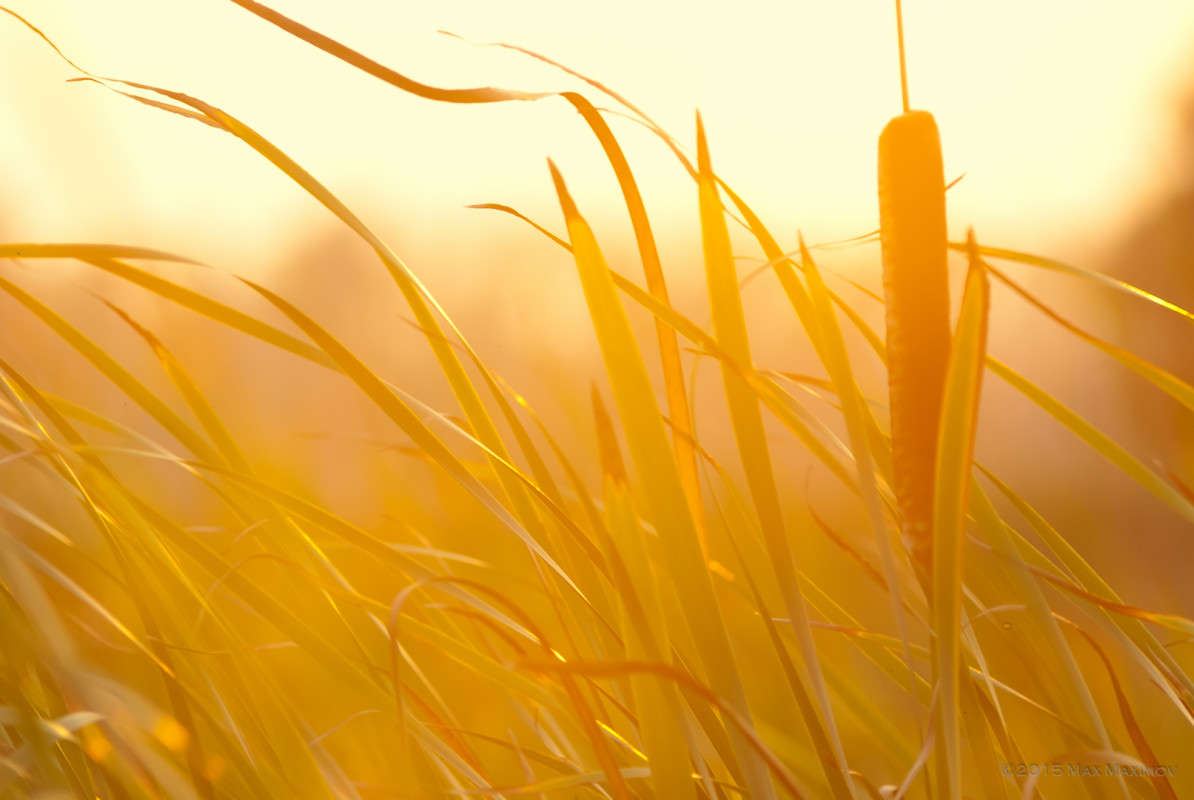 ���� ��������� ���� ����� ����  �� PhotoGeek.ru #������ ��� ������� #����� �������������� #����� ��������