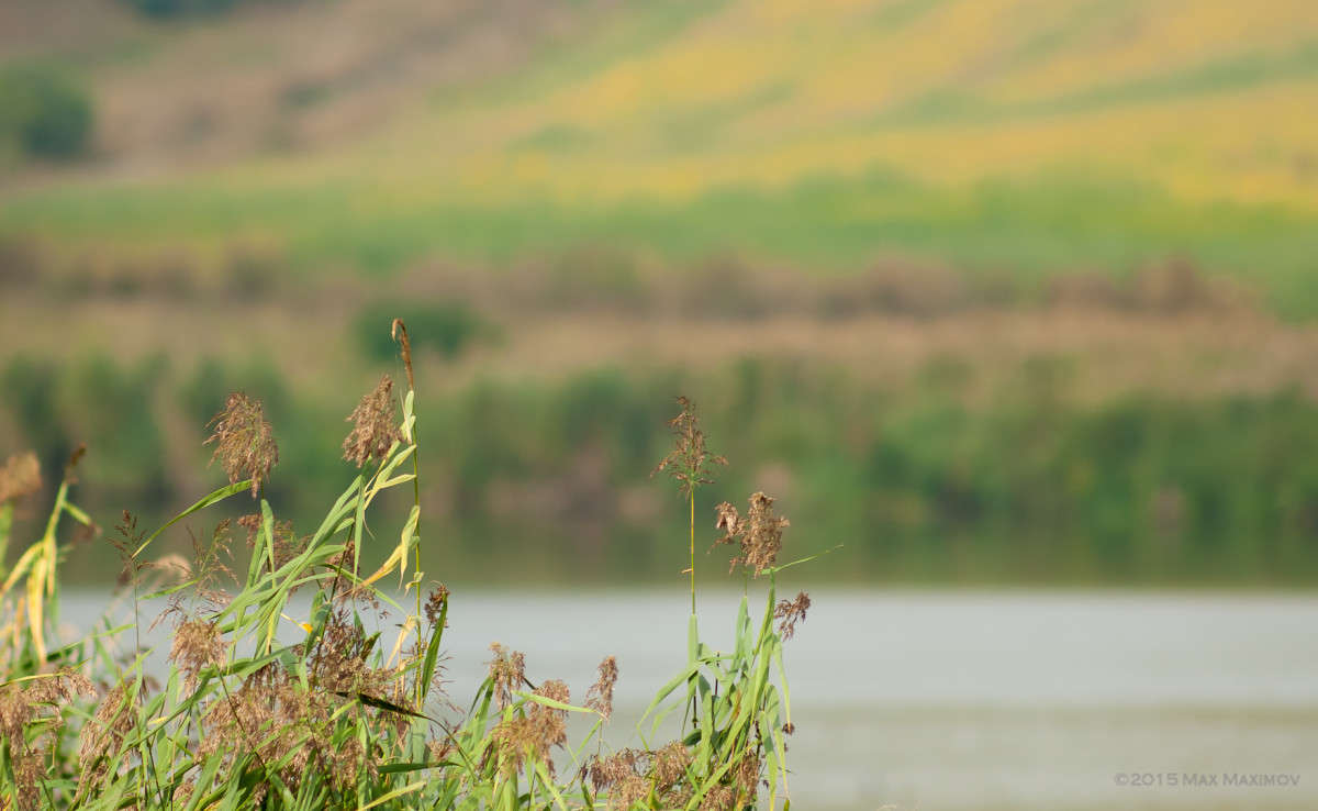 202 ����� ����  �� PhotoGeek.ru #������ ��� ������� #����� �������������� #����� ��������