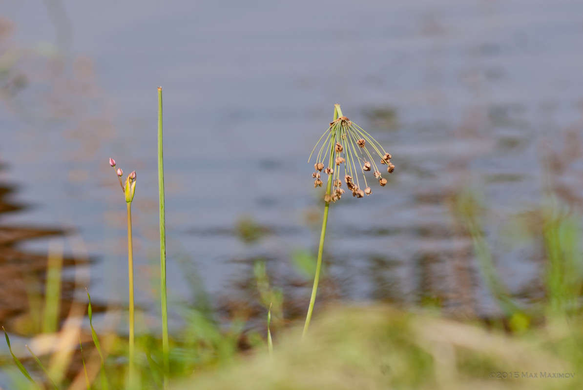 303 ����� ����  �� PhotoGeek.ru #������ ��� ������� #����� �������������� #����� ��������