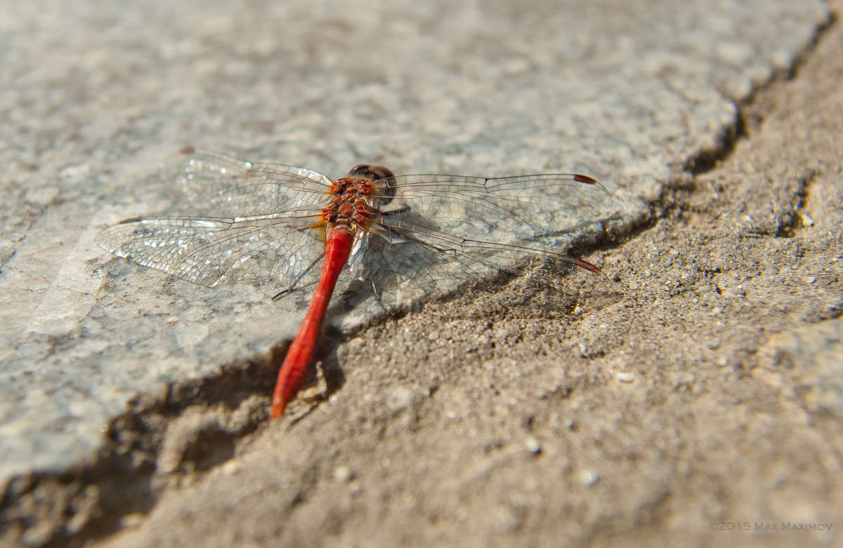 "����� ��������!") ����� ����  �� PhotoGeek.ru #����� #�������� ��� #����� ��� ��� ���������