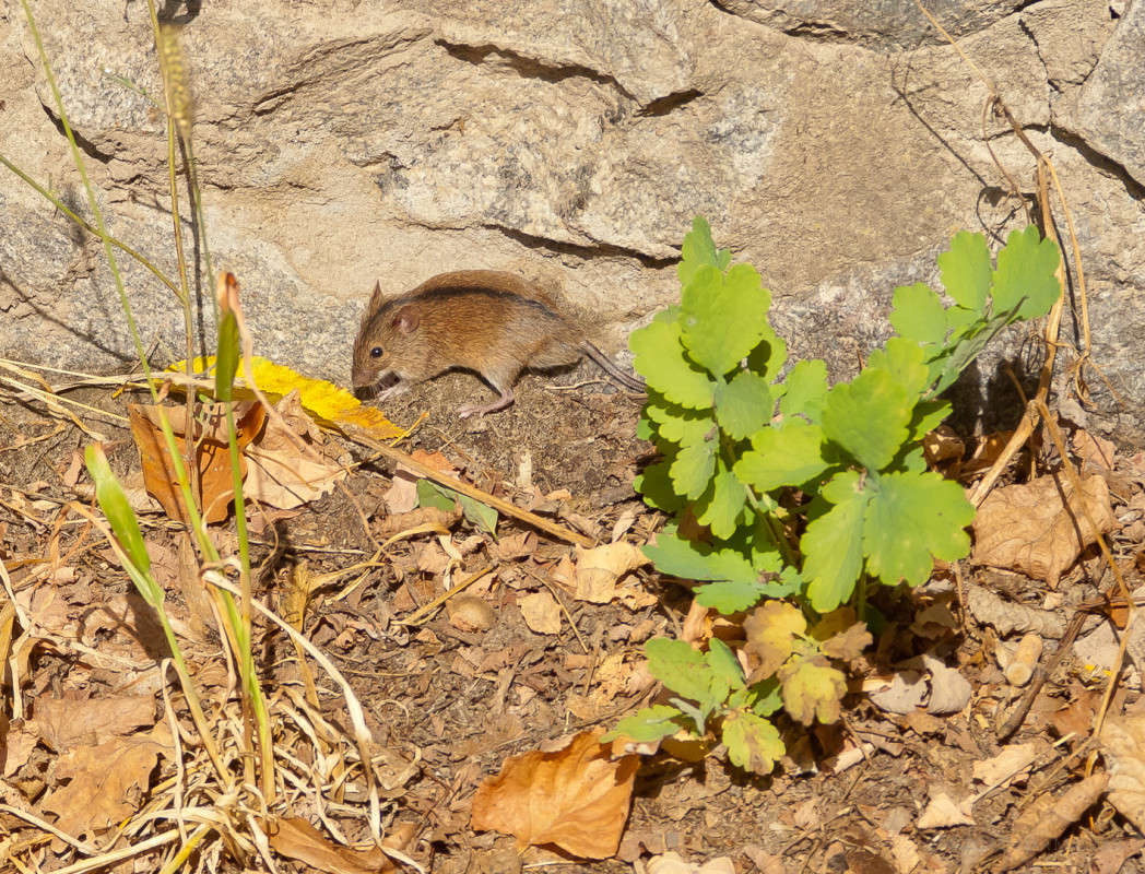 ����� ����� ����  �� PhotoGeek.ru #�������� ��� #����� ��� ��� ���������