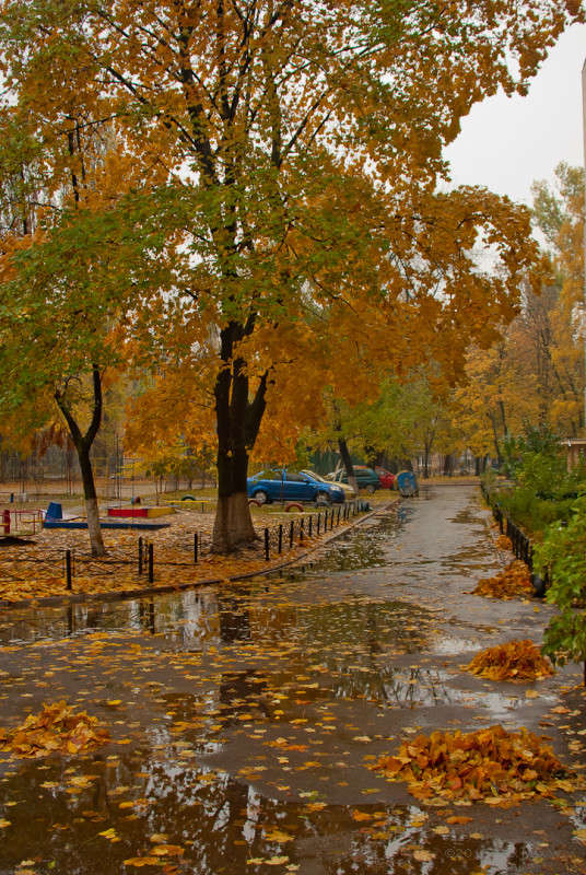 ��� � �����... ����� ����  �� PhotoGeek.ru #����� #��������� ������