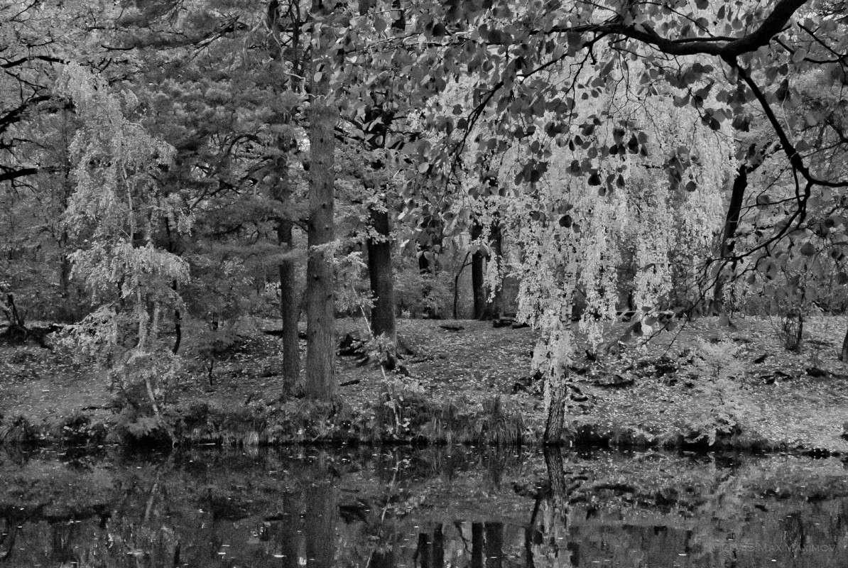 ����������� ����� ����� ����  �� PhotoGeek.ru #������ ��� �������