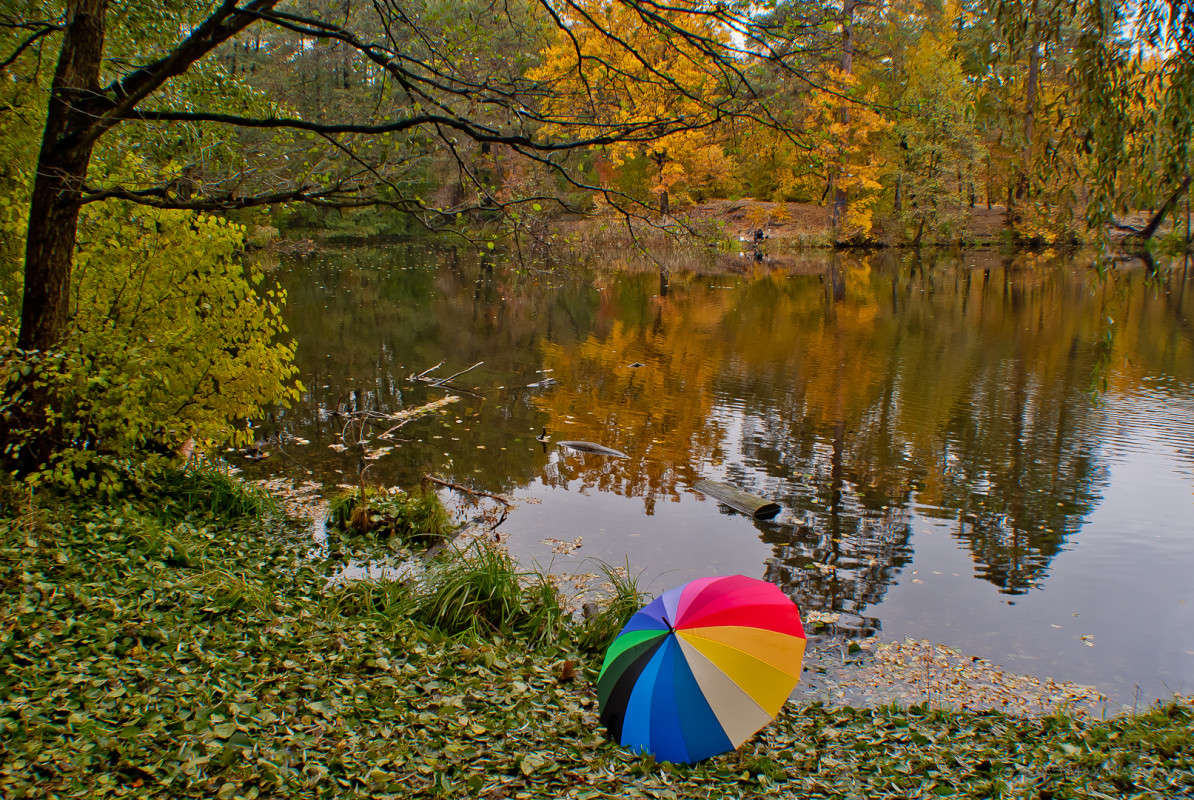 1111 ����� ����  �� PhotoGeek.ru #������ ��� �������