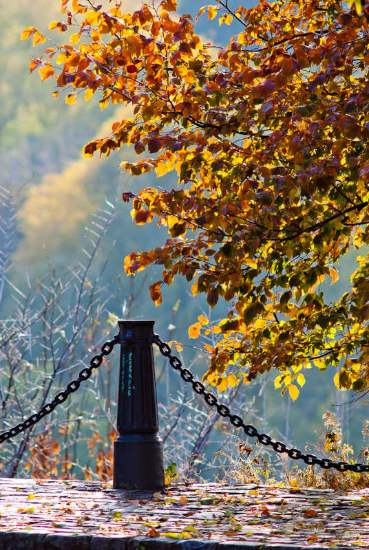 ������� "����" ����� ����  �� PhotoGeek.ru #������ ��� �������