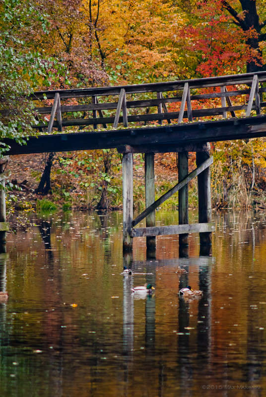 ������ ����� ����  �� PhotoGeek.ru #������ ��� �������