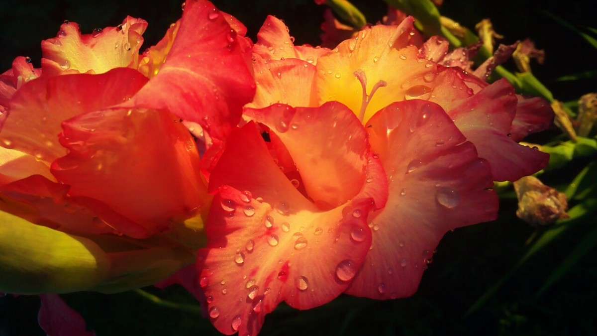 �������� ����. ����� ������ ������� �� PhotoGeek.ru #������ ��� �������