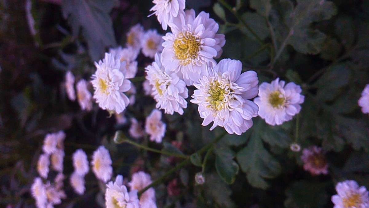 . ����� ������ ������� �� PhotoGeek.ru #����� #������ ��� �������