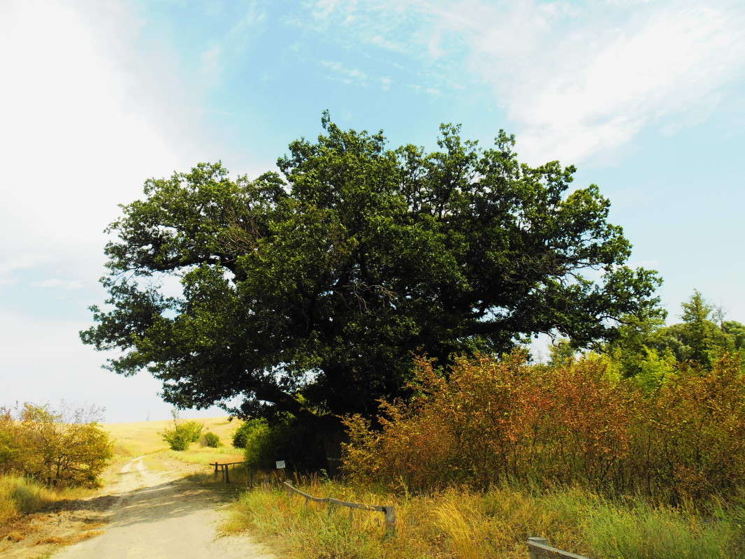 ������� ���. ����� ������ ������� �� PhotoGeek.ru #������ ��� ������� #�������� ����������