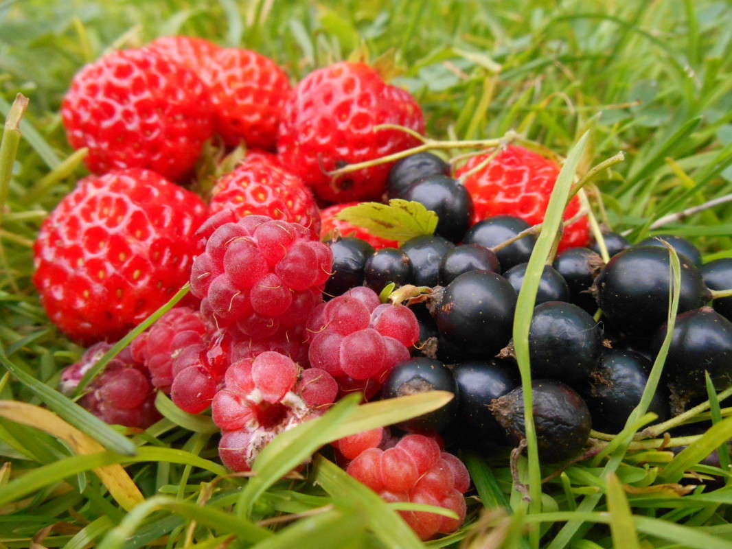 ���-���. ����� ������ ������� �� PhotoGeek.ru #���������