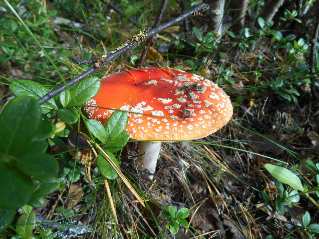 �������� ����� ������ ������� �� PhotoGeek.ru #����� #������ ��� ������� #����� ��������������