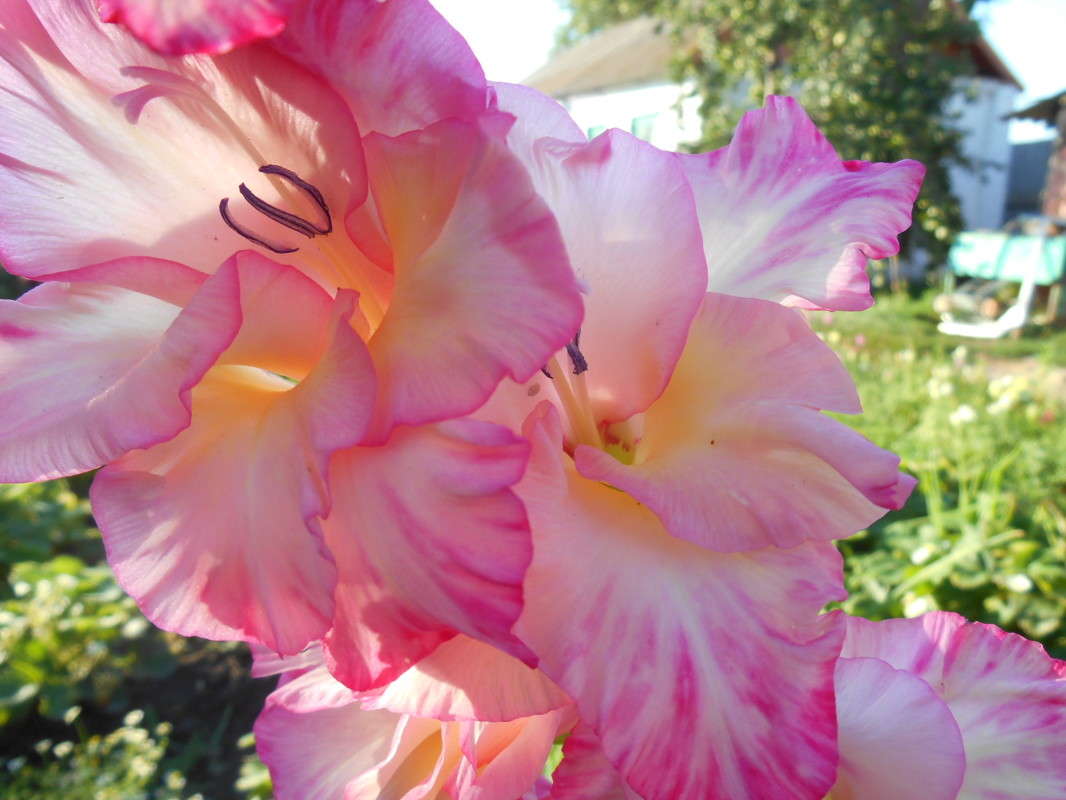 ������������� ����. ����� ������ ������� �� PhotoGeek.ru #����� #������ ��� ������� #����� ��������������