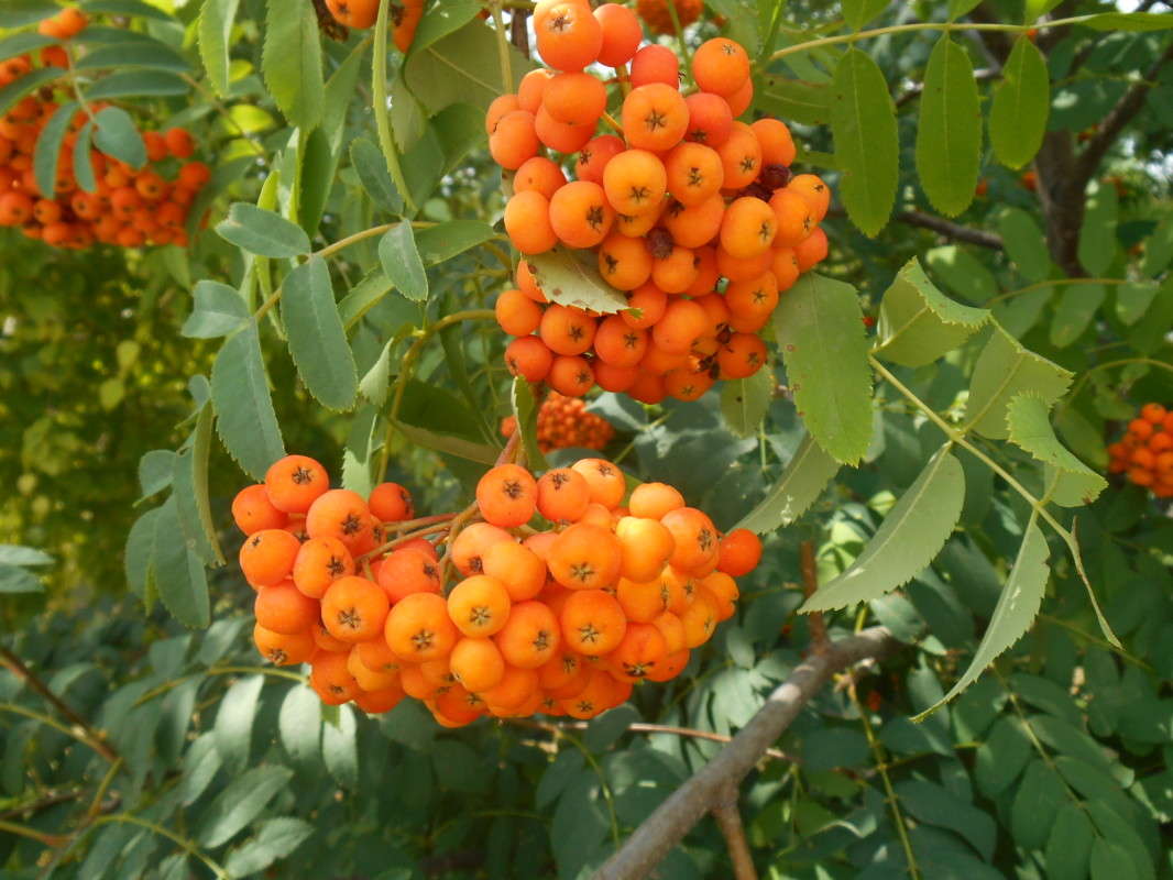 �������. ����� ������ ������� �� PhotoGeek.ru #����� #������ ��� ������� #����� ��������������