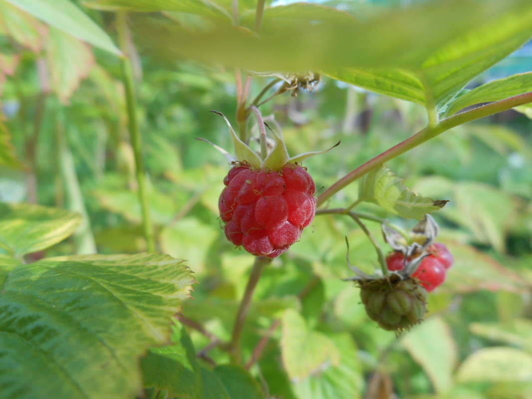 ! ����� ������ ������� �� PhotoGeek.ru #������ ��� �������