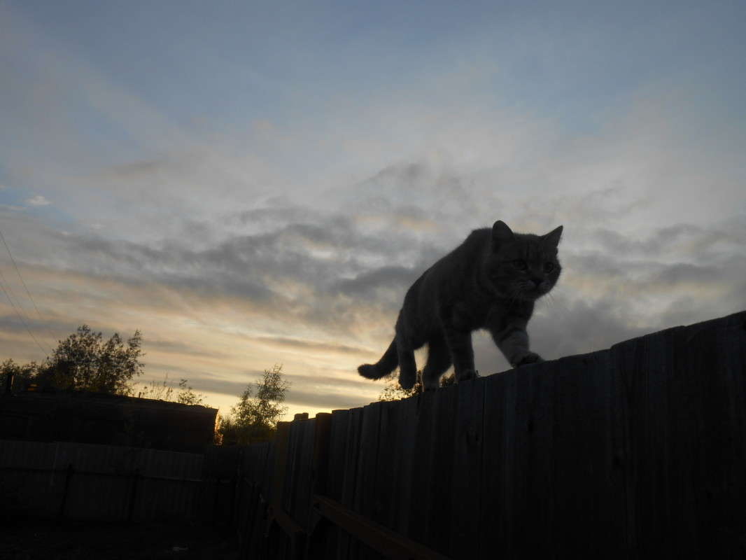 �������� �������� �� ������. ����� ������ ������� �� PhotoGeek.ru #�������� ��� #�������� ���