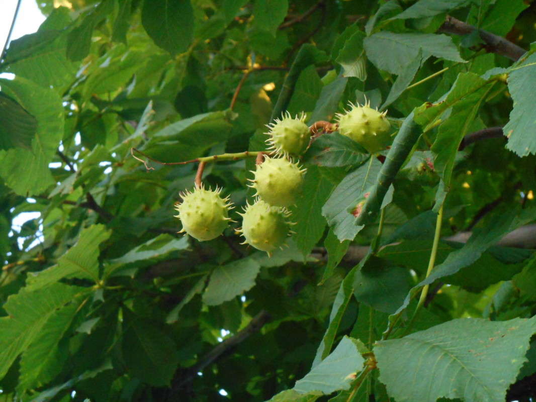 ������. ����� ������ ������� �� PhotoGeek.ru #������ ��� ������� #����� ��������������