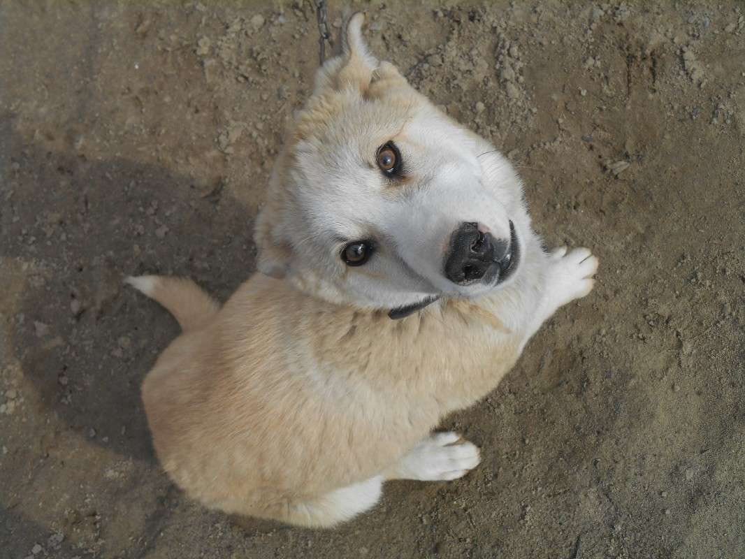 ������) ����� ������ ������� �� PhotoGeek.ru #�������� ���