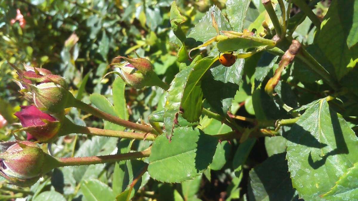 ����� ������� ����� ������ ������� �� PhotoGeek.ru #�������� ��� #������ ��� ������� #����� ��������������