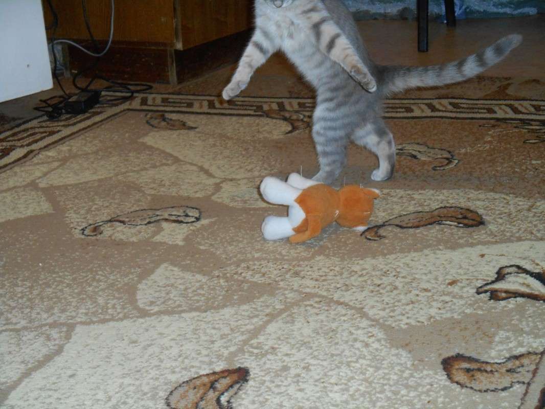 ����� -�� � �������� ����� ������ ������� �� PhotoGeek.ru #�������� ���