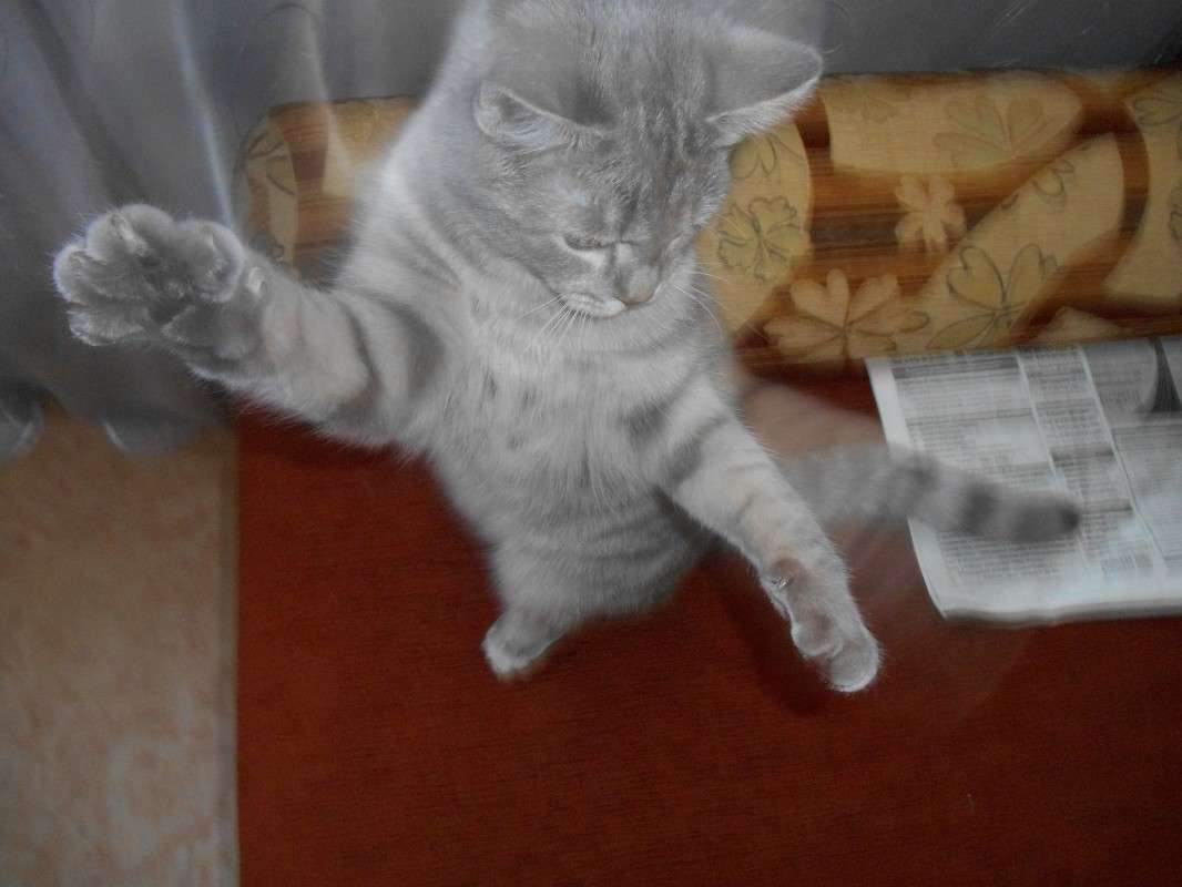 �������, ������� �� � ����� �������)) ����� ������ ������� �� PhotoGeek.ru #�������� ���