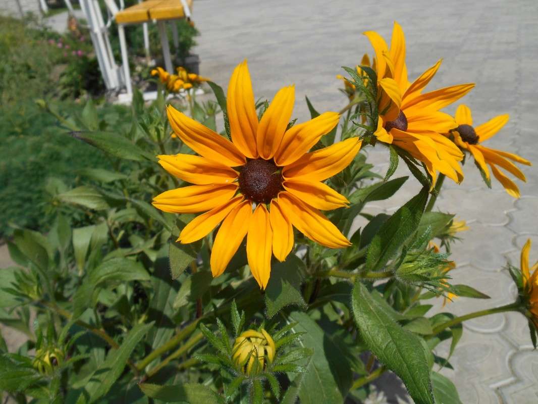 �������� ����� ������ ������� �� PhotoGeek.ru #������ ��� �������