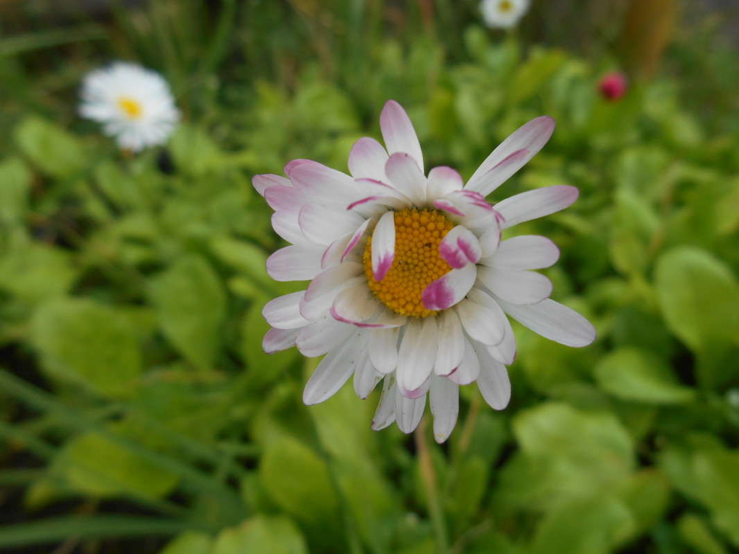 ������� �������� ����� ������ ������� �� PhotoGeek.ru #������ ��� �������