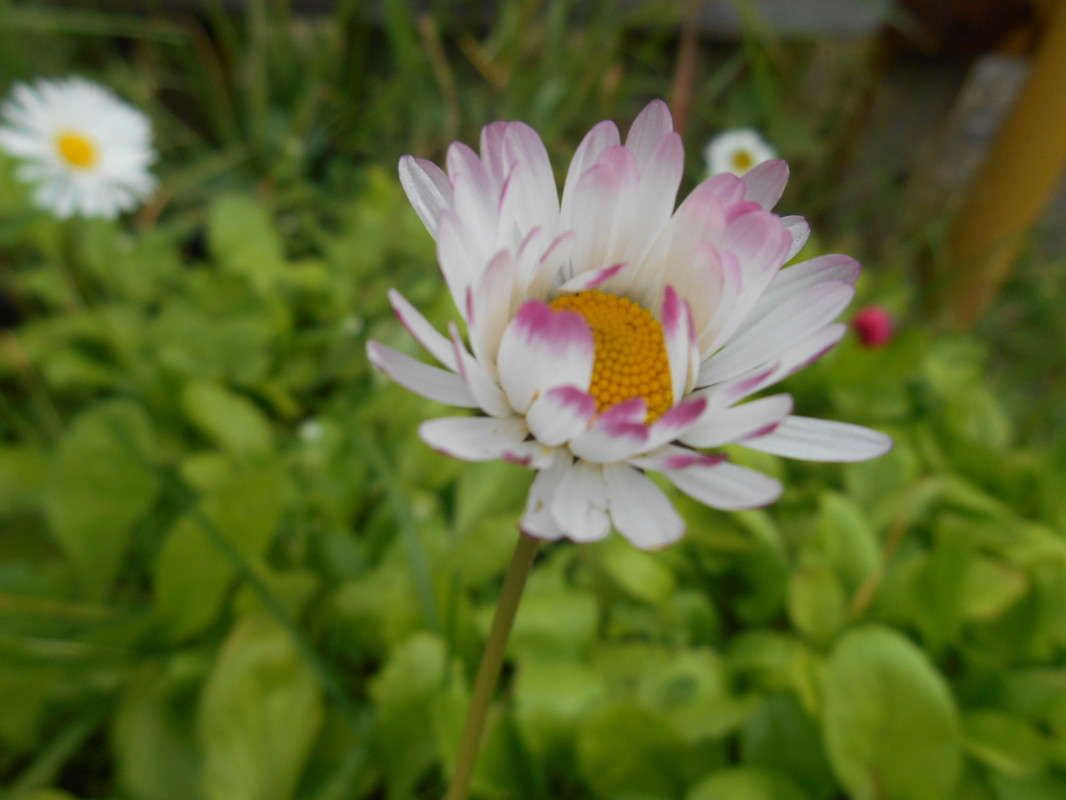 1 ����� ������ ������� �� PhotoGeek.ru #������ ��� �������