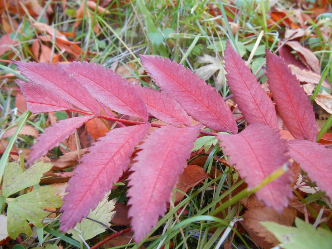 ����� ����� ������ ������� �� PhotoGeek.ru #������ ��� �������