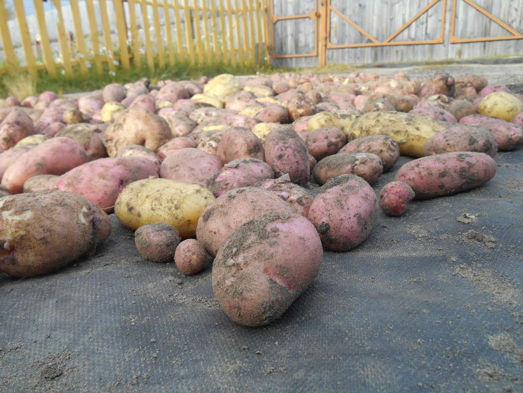 �������� ����� ������ ������� �� PhotoGeek.ru #������ ��� �������