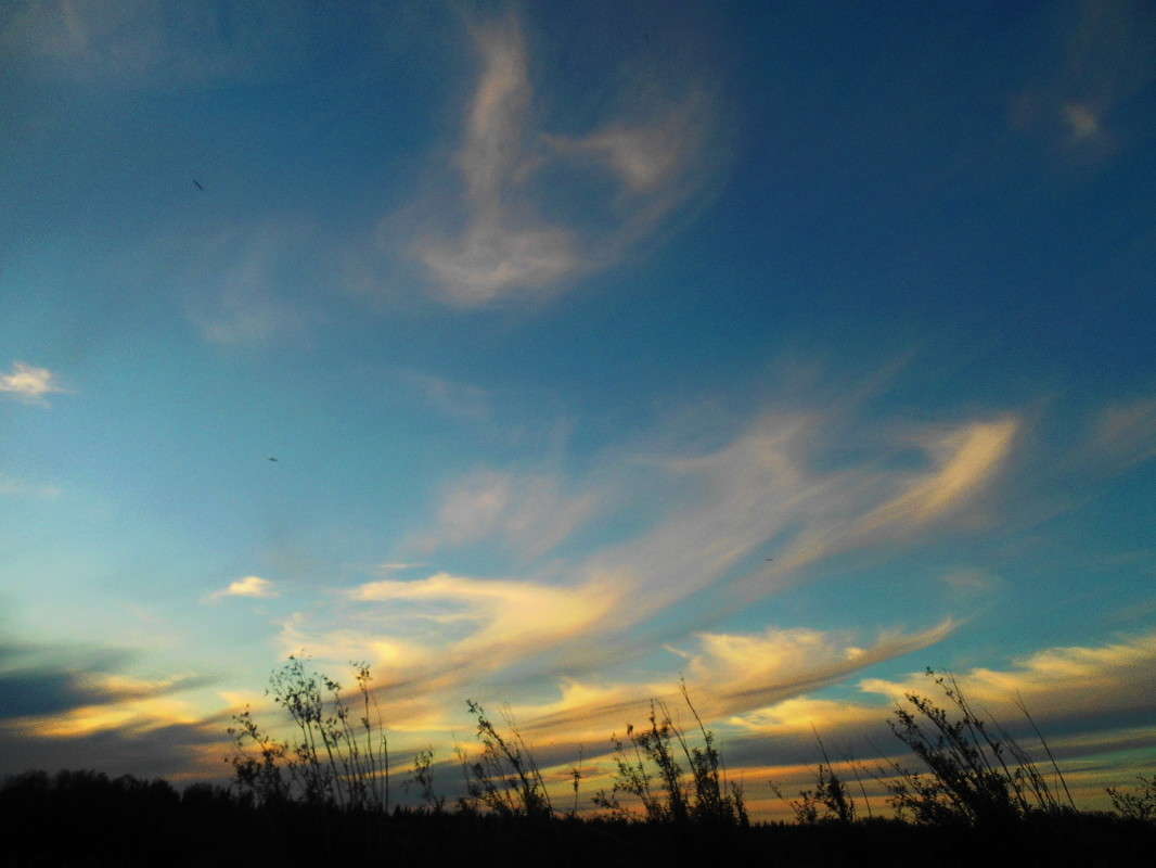 . ����� ������ ������� �� PhotoGeek.ru #������ ��� �������