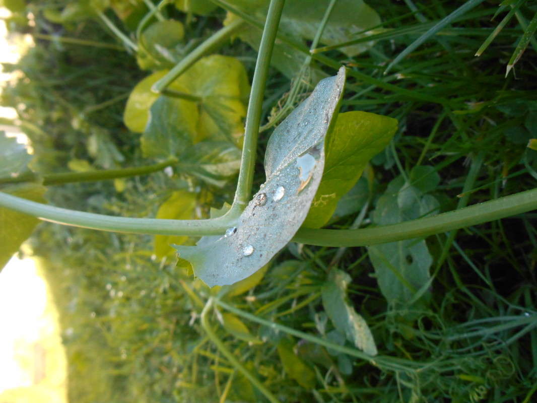 ���� ����� ������ ������� �� PhotoGeek.ru #������ ��� �������