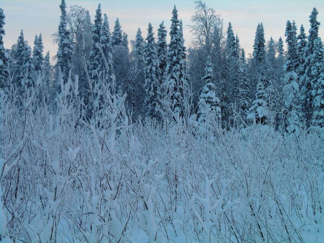 . ����� ������ ������� �� PhotoGeek.ru #������ ��� �������