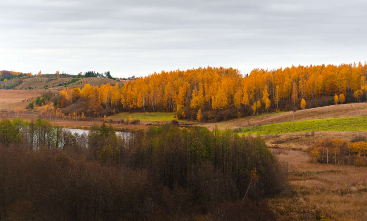 ... ����� ���� ������ �� PhotoGeek.ru #������ ��� �������