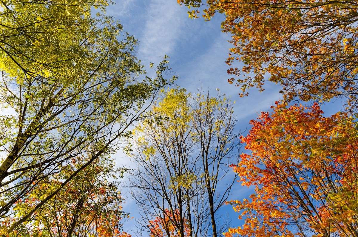 ... ����� ���� ������ �� PhotoGeek.ru #������ ��� �������