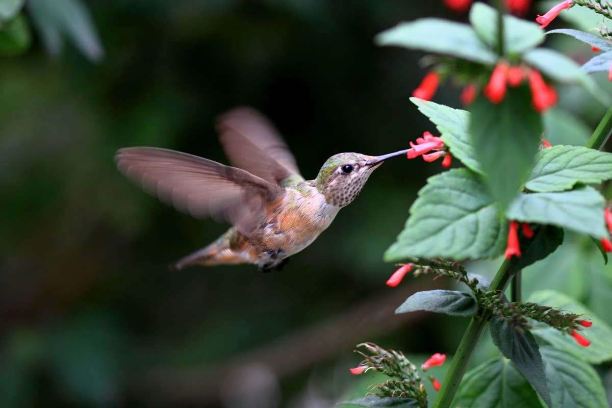 ... ����� Naum Likholat �� PhotoGeek.ru #�������� ���