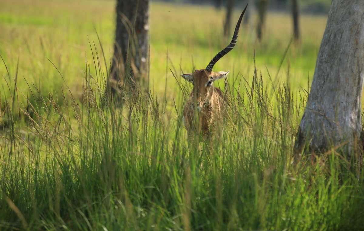 �������� ����� Naum Likholat �� PhotoGeek.ru #�������� ���